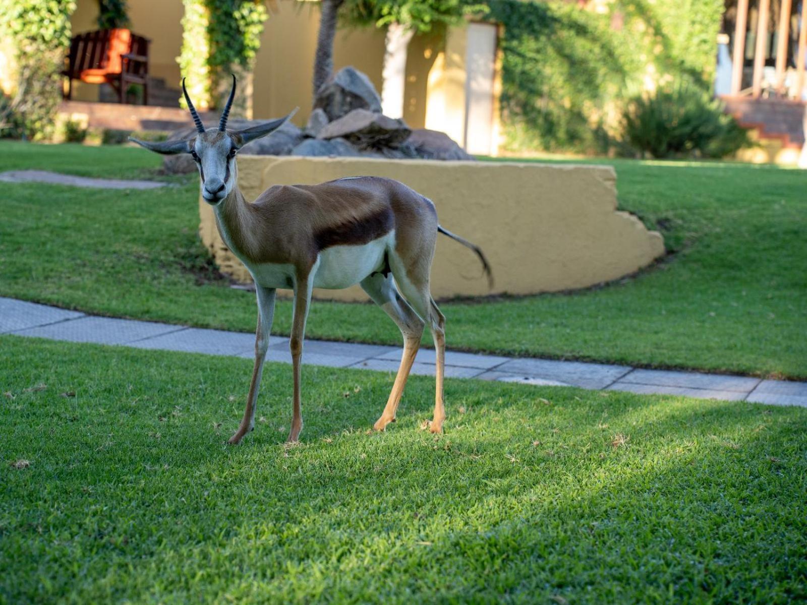 Sunriver Kalahari Lodge Riverside Stay In Upington Exterior photo